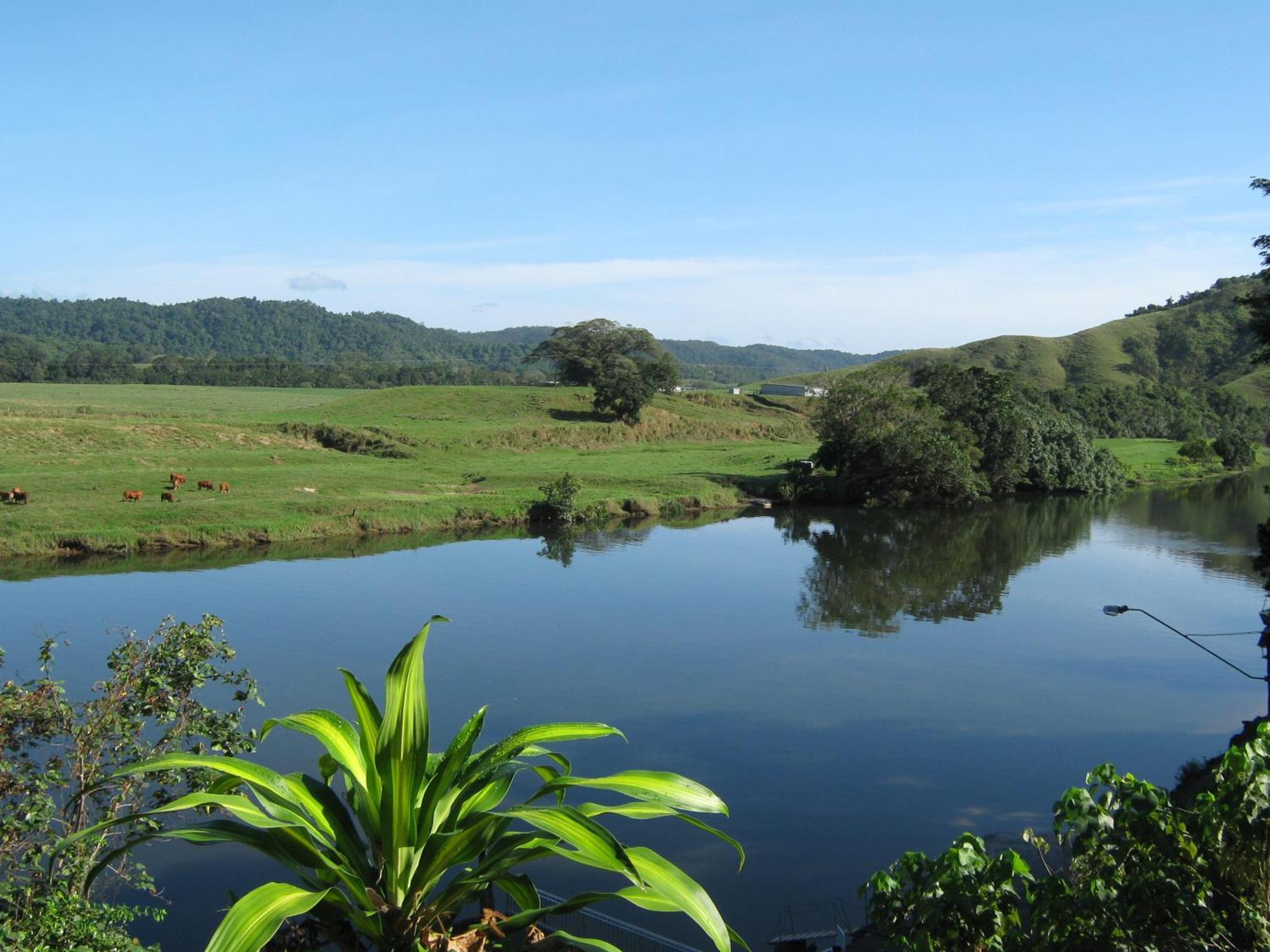 Daintree Riverview Lodges Εξωτερικό φωτογραφία