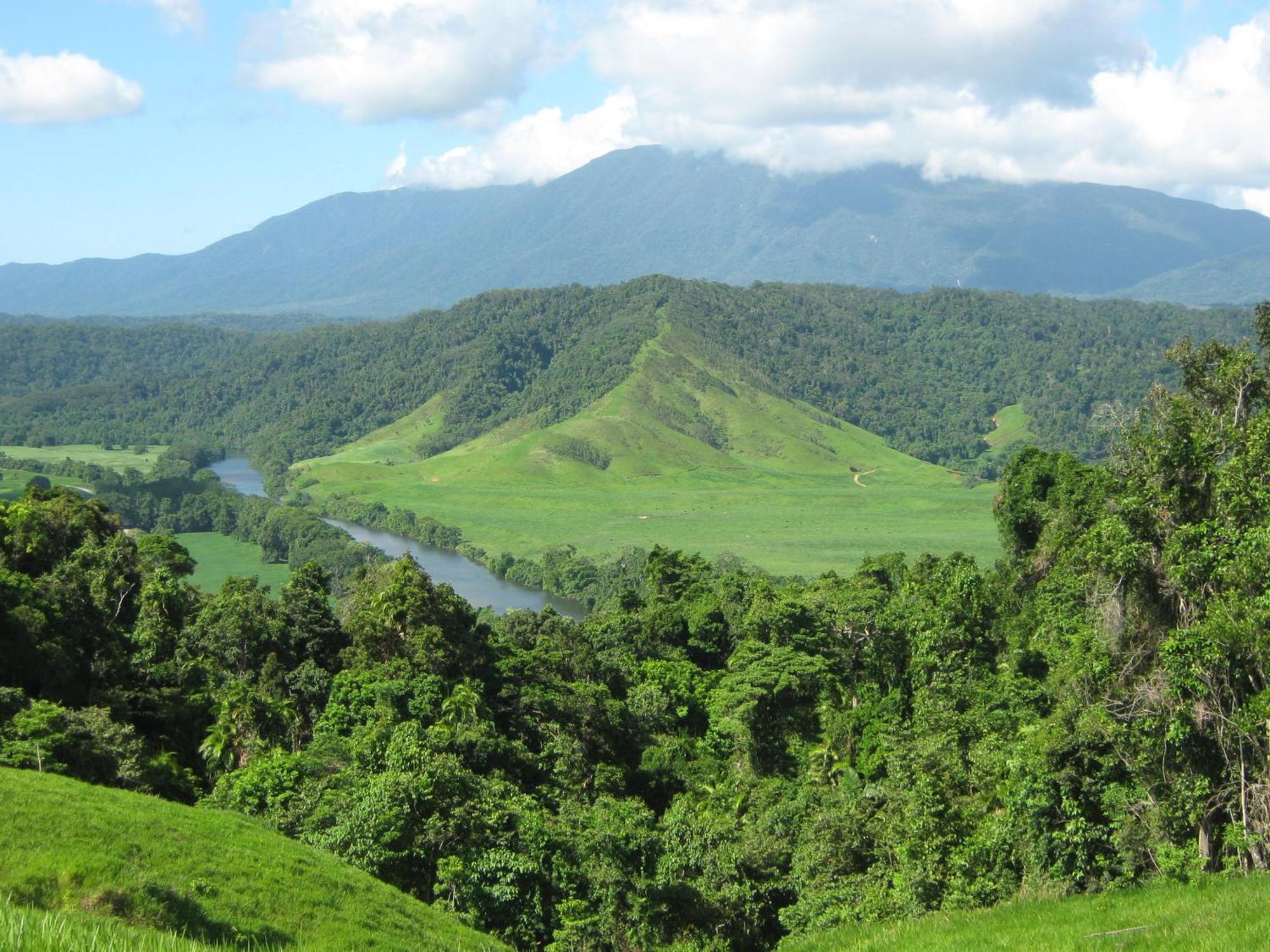 Daintree Riverview Lodges Εξωτερικό φωτογραφία