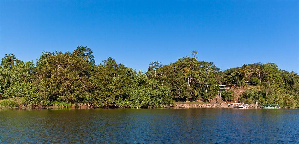 Daintree Riverview Lodges Εξωτερικό φωτογραφία